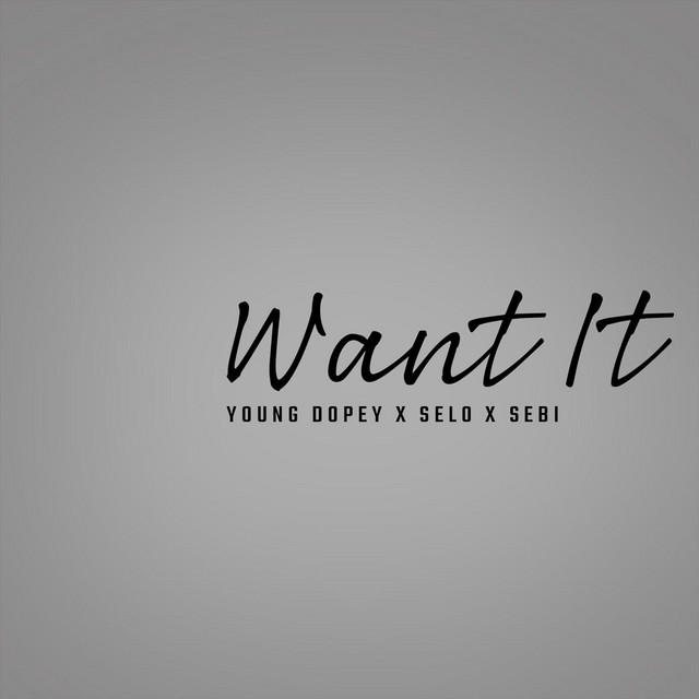 'Want It' cover art