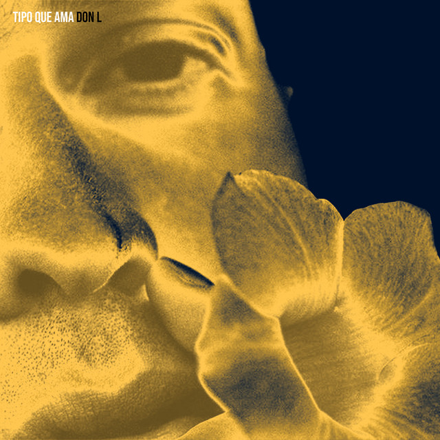 'Tipo Q Ama Don L' cover art