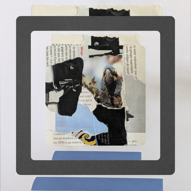 'collage' cover art