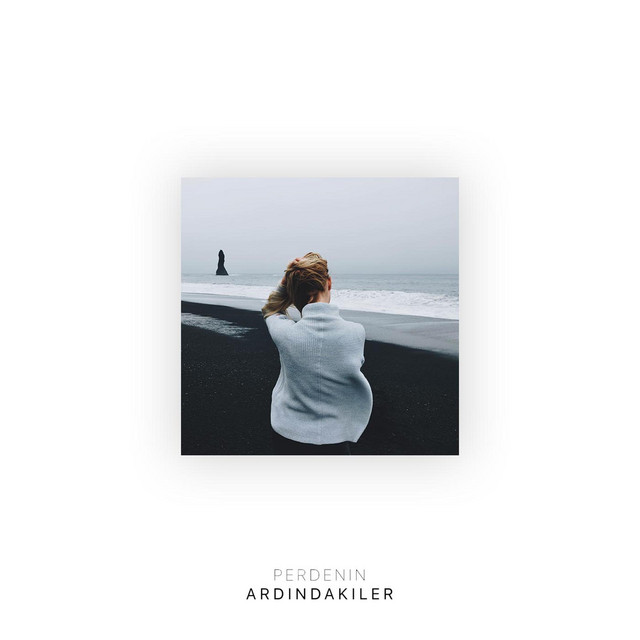 'Meseleler' cover art