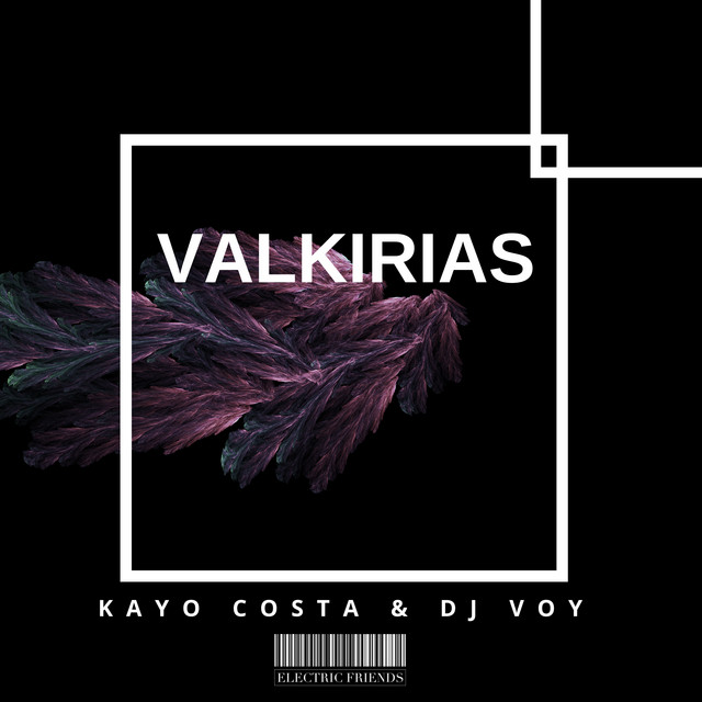 'Valkirias' cover art