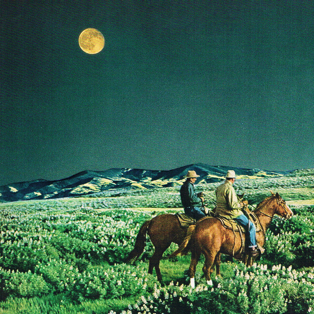 'daffodilis' cover art