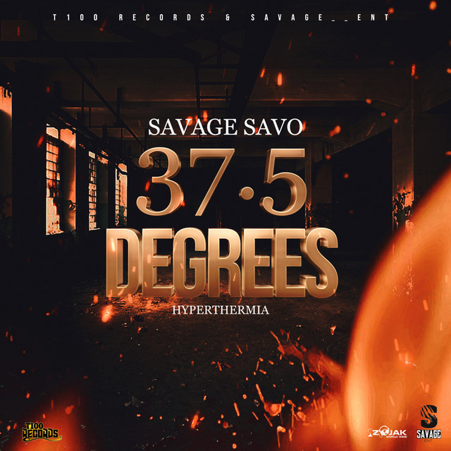 '37.5 Degrees (Hyperthermia)' cover art