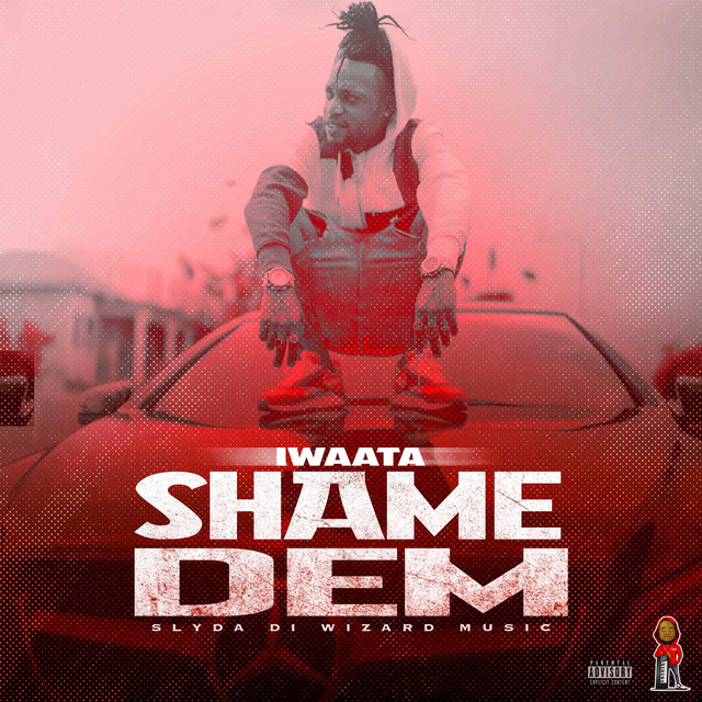 'Shame Dem' cover art