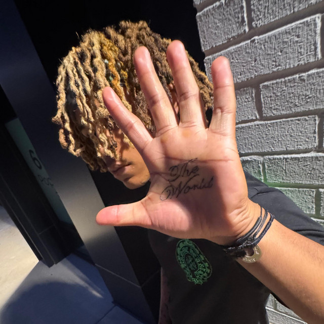 'LINK' cover art