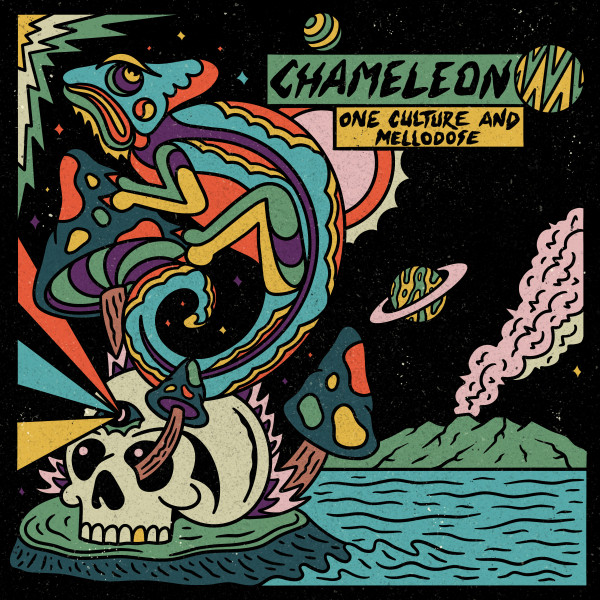 'Chameleon' cover art