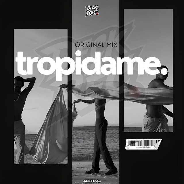 'TROPIDAME (Original Mix)' cover art
