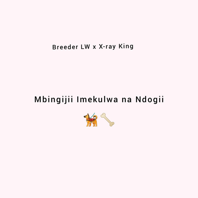 'Mbiginjii Imekulwa Na Ndogii' cover art