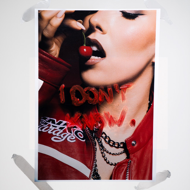 'I Don't Know (feat. LAUD)' cover art