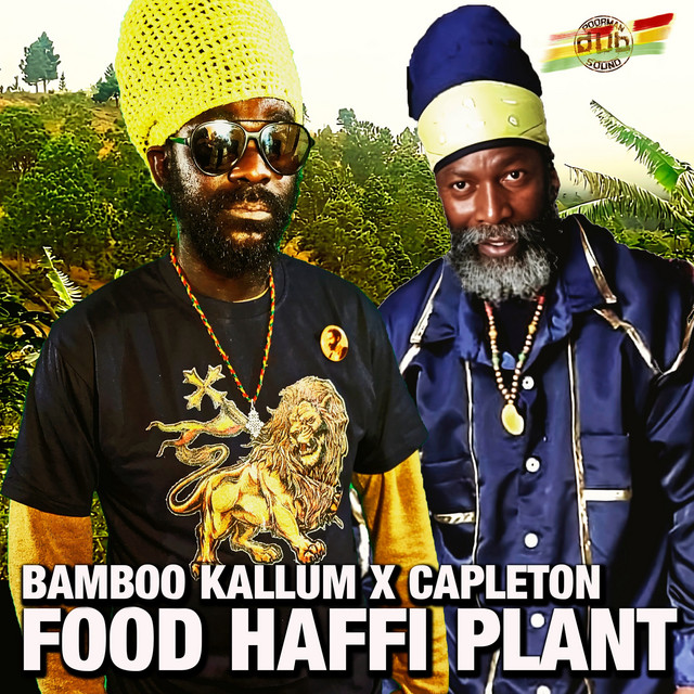 'Food Haffi Plant' cover art