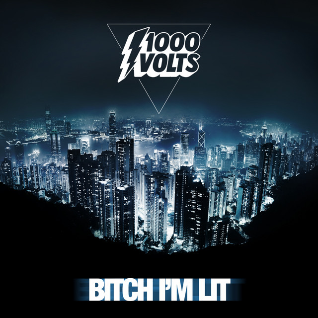 'Bitch I'm Lit' cover art