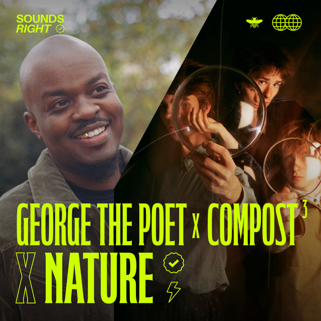 'The Natural World (feat. NATURE) [Remix]' cover art