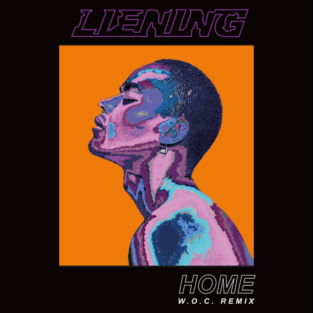 'home' cover art