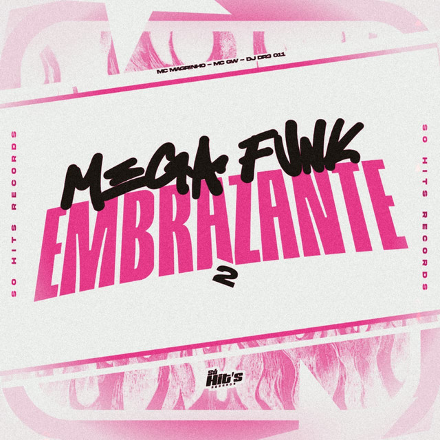 'Mega Funk Embrazante 2' cover art