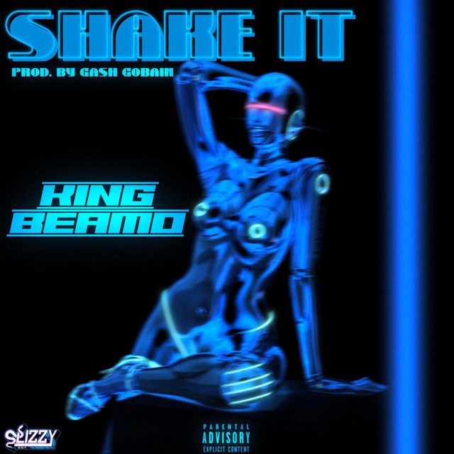 'SHAKE IT' cover art