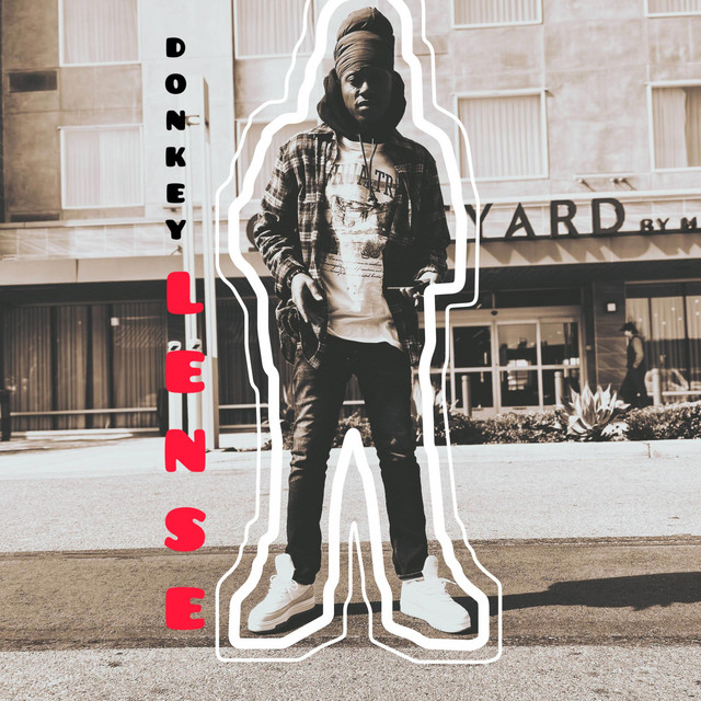 'Donkey Lense' cover art