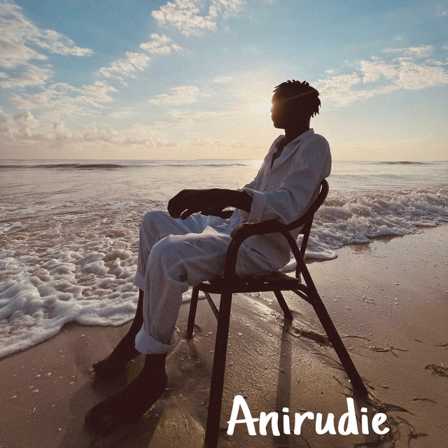 'Anirudie' cover art