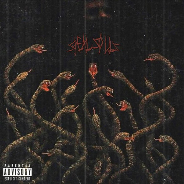 'STEAL SOUL' cover art