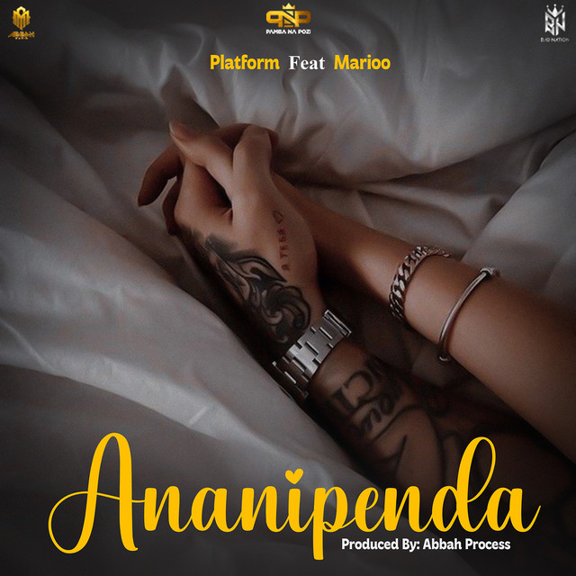 'Ananipenda' cover art