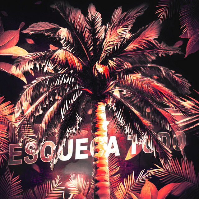'ESQUEÇA TUDO' cover art