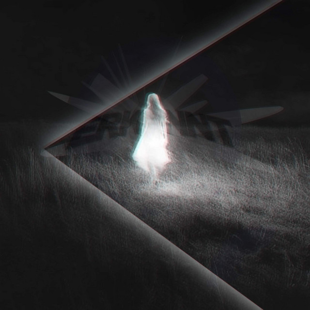 'Erkannt' cover art