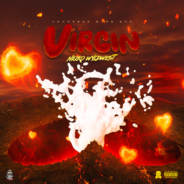 'Virgin' cover art