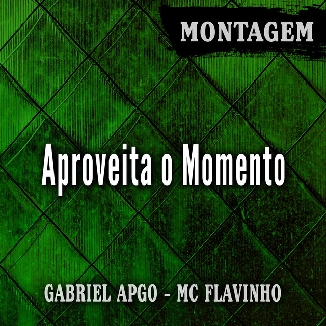 'Montagem Aproveita o Momento' cover art