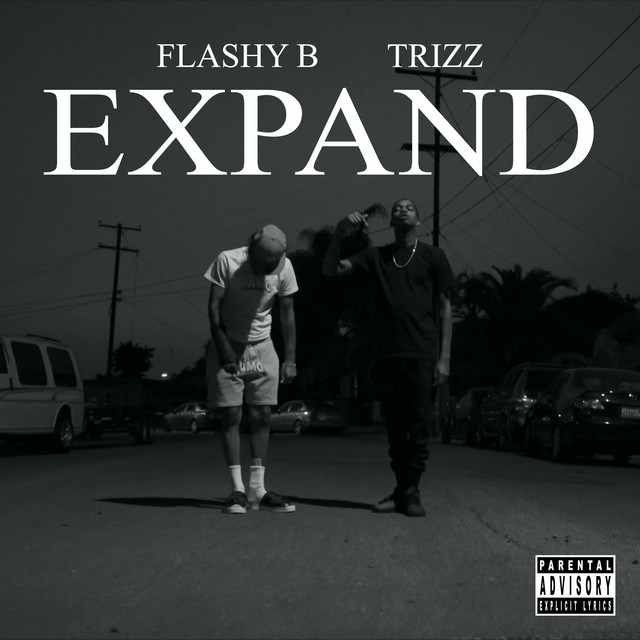 'Expand' cover art