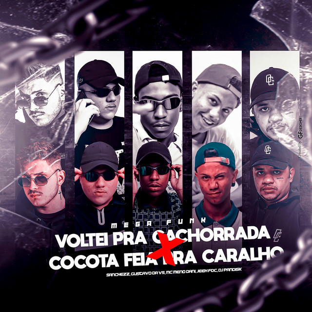 'MEGA FUNK VOLTEI PRA CACHORRADA X COCOTA FEIA PRA CARALHO (feat. DJ GUSTAVO DA VS & DJ Jeeh FDC)' cover art