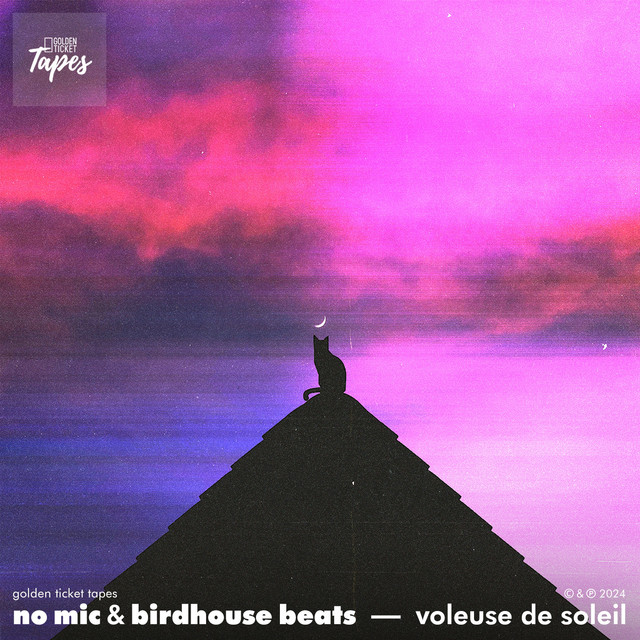 'Voleuse de Soleil' cover art
