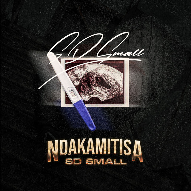 'Ndakamitisa' cover art