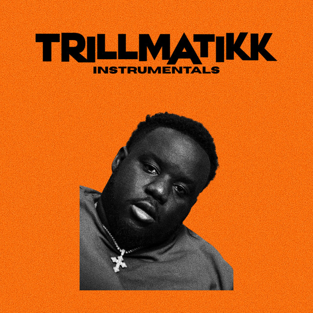 'REIGN DOWN INSTRUMENTAL' cover art