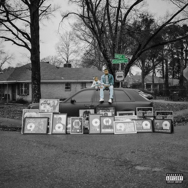'Cottonwood 2' cover art