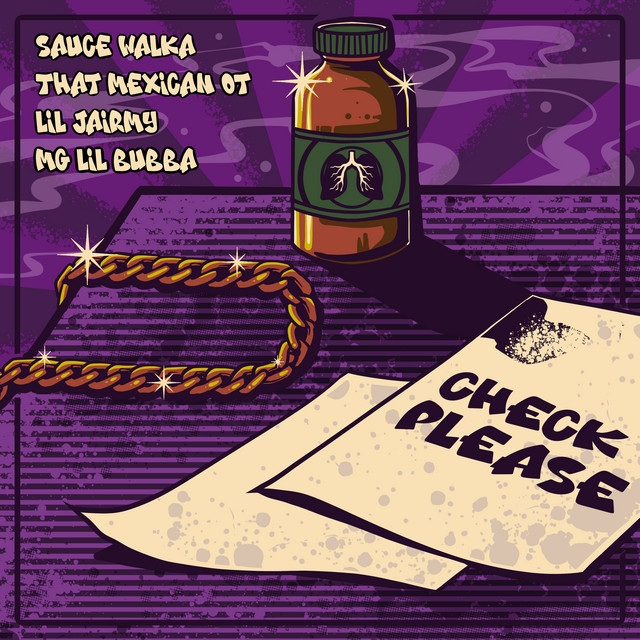 'Check Please (feat. Lil Jairmy & MG Lil Bubba)' cover art