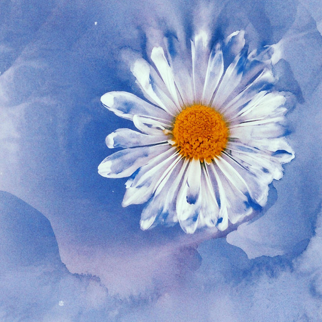 'SEE YOU AFTER LIFE' cover art