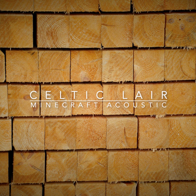 'Minecraft Acoustic' cover art