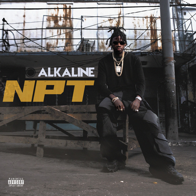 'NPT' cover art