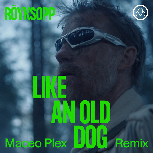 'Like an Old Dog (Maceo Plex Remix)' cover art