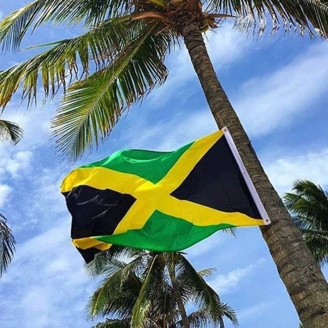 'jamaica' cover art