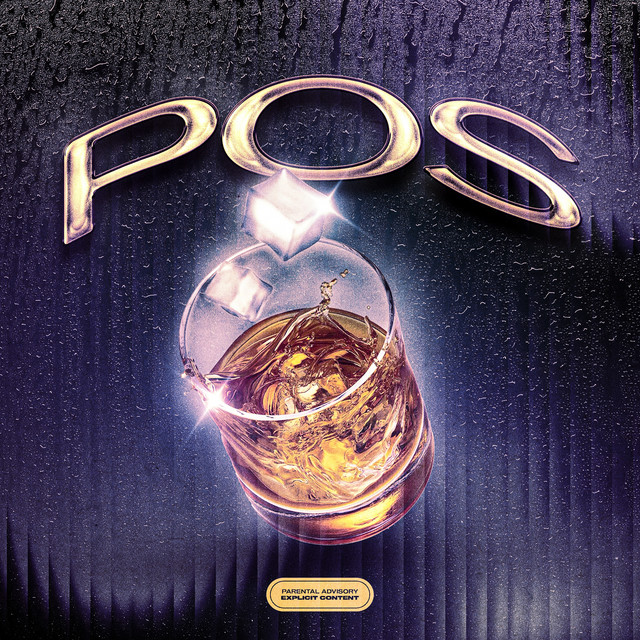 'POS' cover art