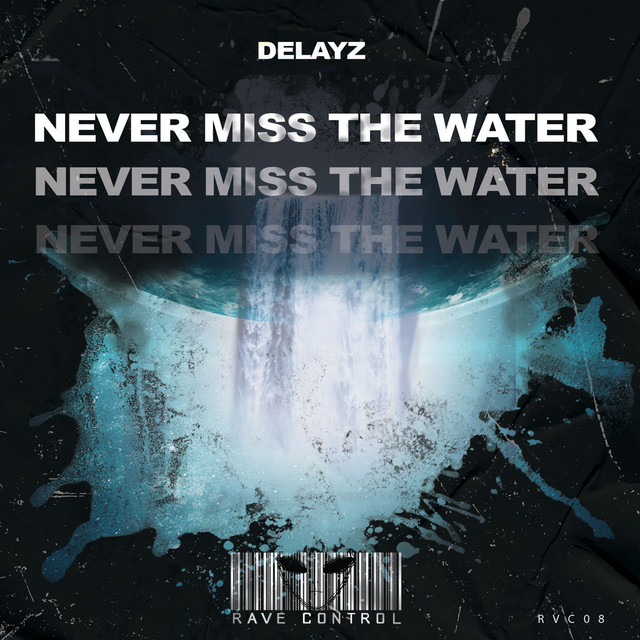 'Never Miss the Water' cover art