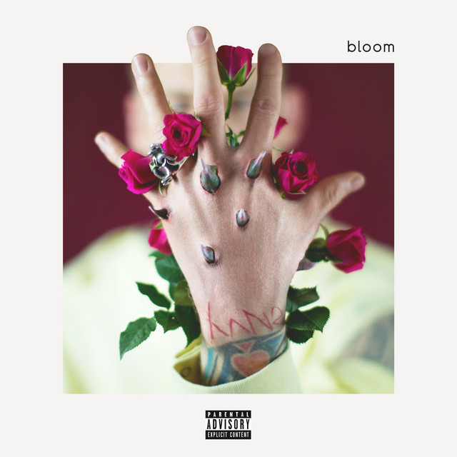 'bloom (Deluxe)' cover art