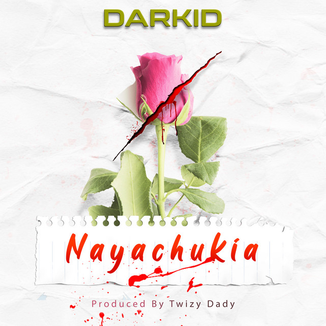 'Nayachukia' cover art