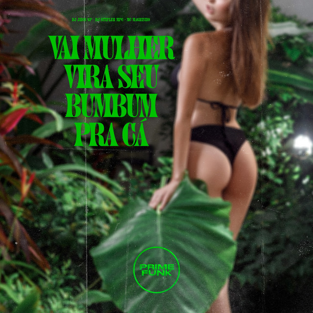'Vai Mulher Vira Seu Bumbum Pra Cá' cover art