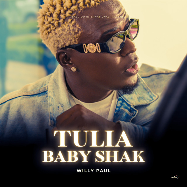 'Tulia Baby Shak' cover art