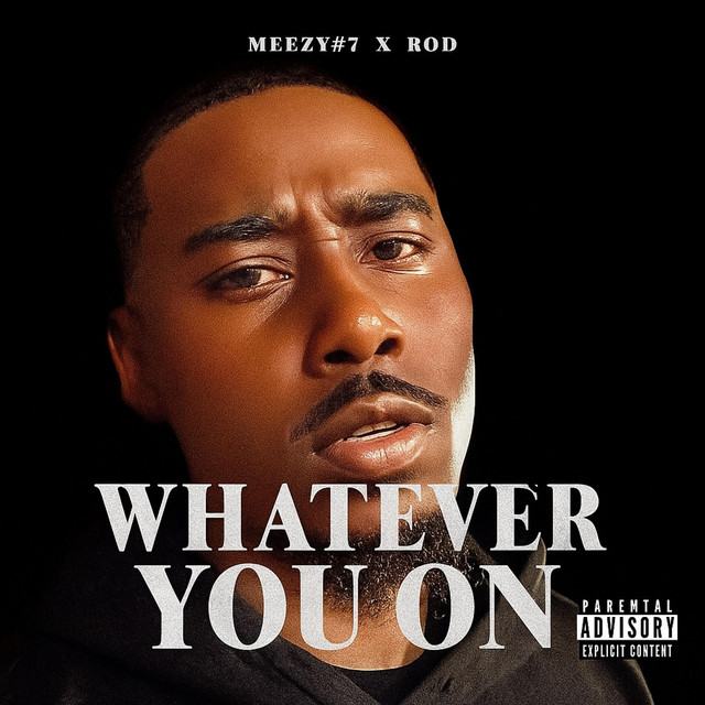 'Meezy#7- Whatever You On)' cover art