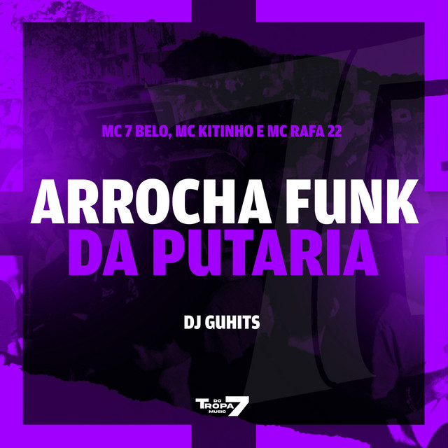 'Arrocha funk da putaria' cover art