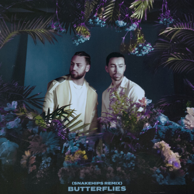 'Butterflies (Snakehips Remix)' cover art