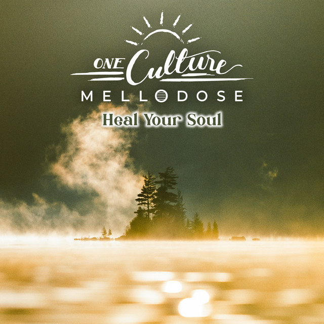 'Heal Your Soul' cover art