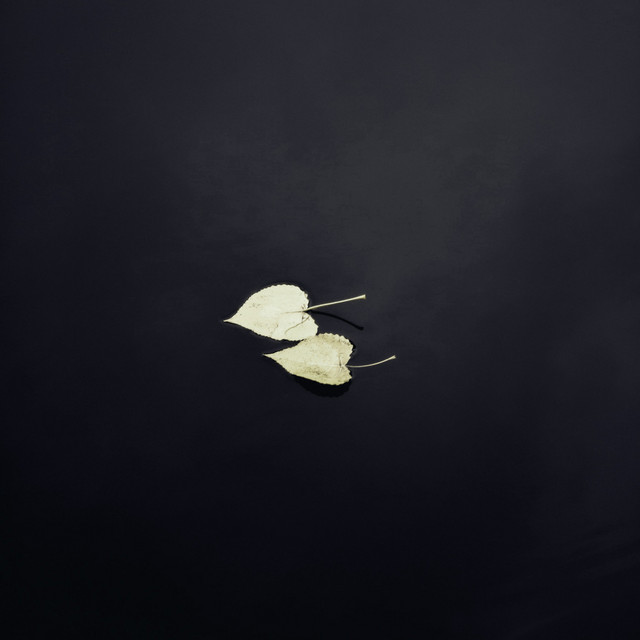 'Can I Love You (Slowed & Reverb)' cover art